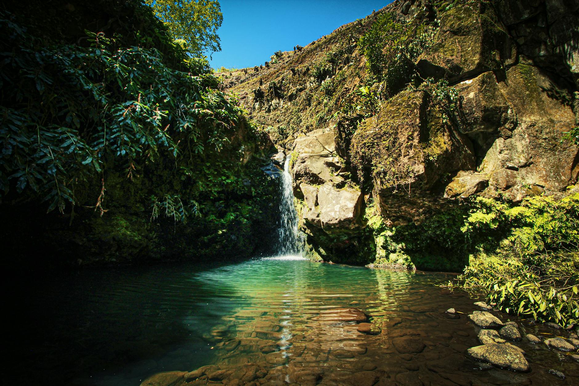 Serene waterfall in lush Achada, Azores, with vibrant greenery and clear waters.