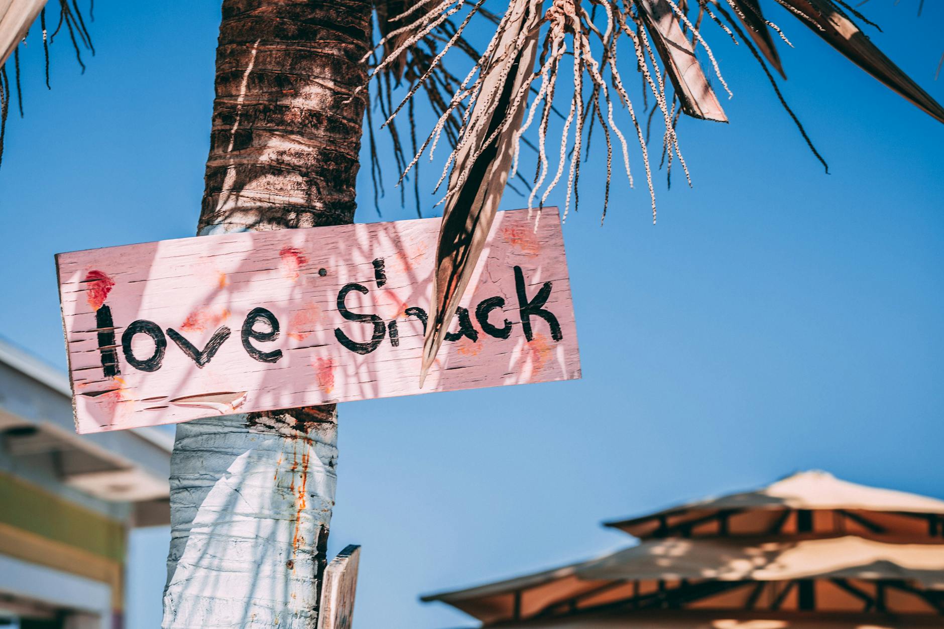 Pink wooden sign on palm tree in Bahamas, sunny tropical vibe.