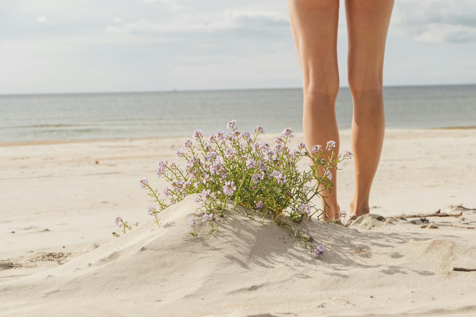 A woman stands by blooming flowers on a tranquil sandy beach.