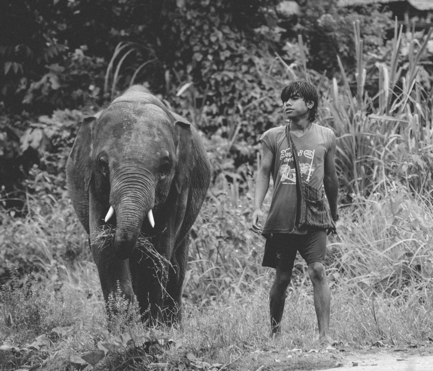 Black and white image of a young boy walking alongside a baby elephant in the wild.