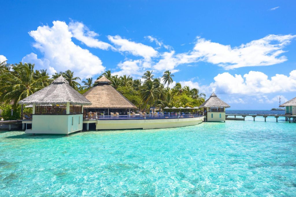 Home Stunning view of a tropical resort in the Maldives with clear turquoise waters and lush palm trees.