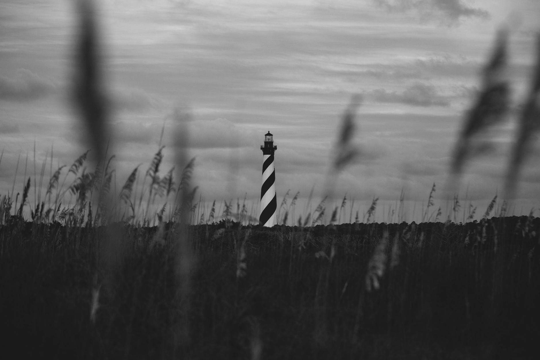 Scenic black and white photograph of Cape Hatteras Lighthouse in a rural field.