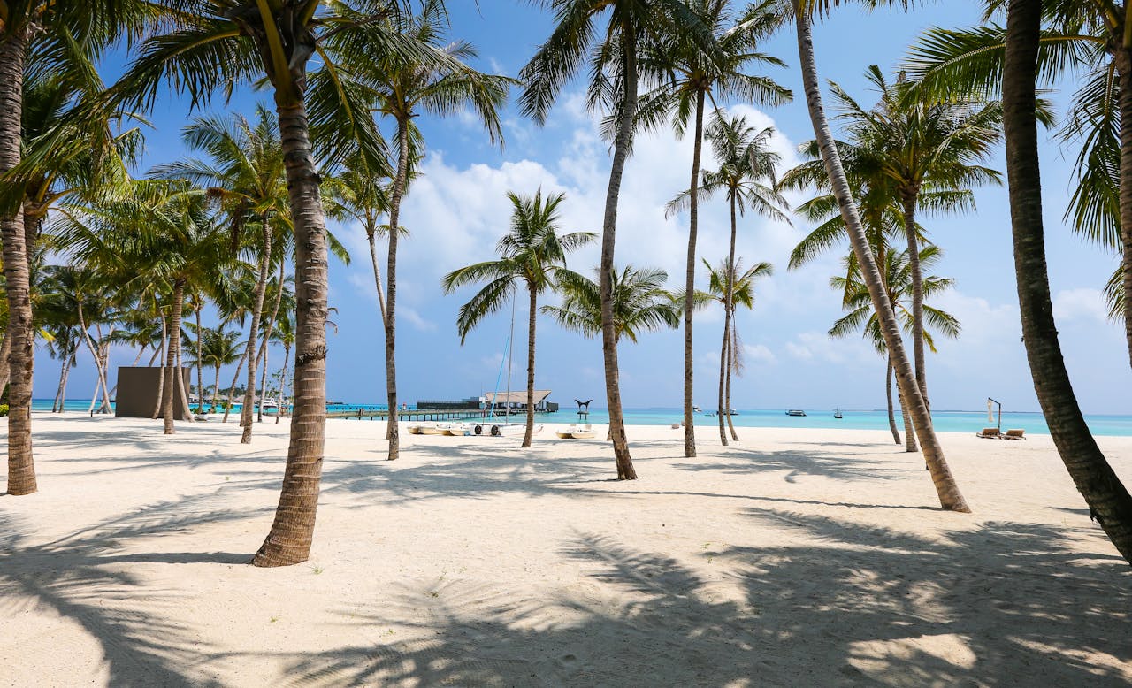 services-02 Idyllic tropical beach scene with palm trees and clear blue waters in the Maldives.