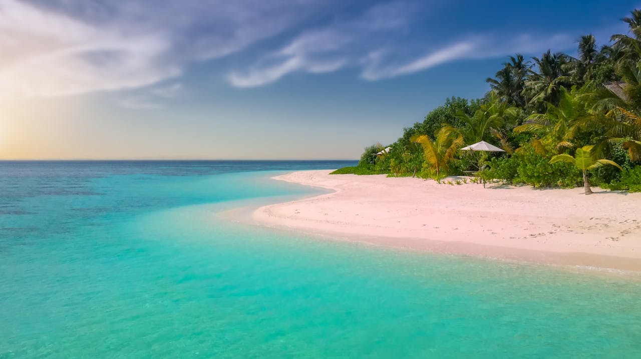 home-hero Serene tropical beach with palm trees and clear turquoise water, perfect for a relaxing summer vacation.