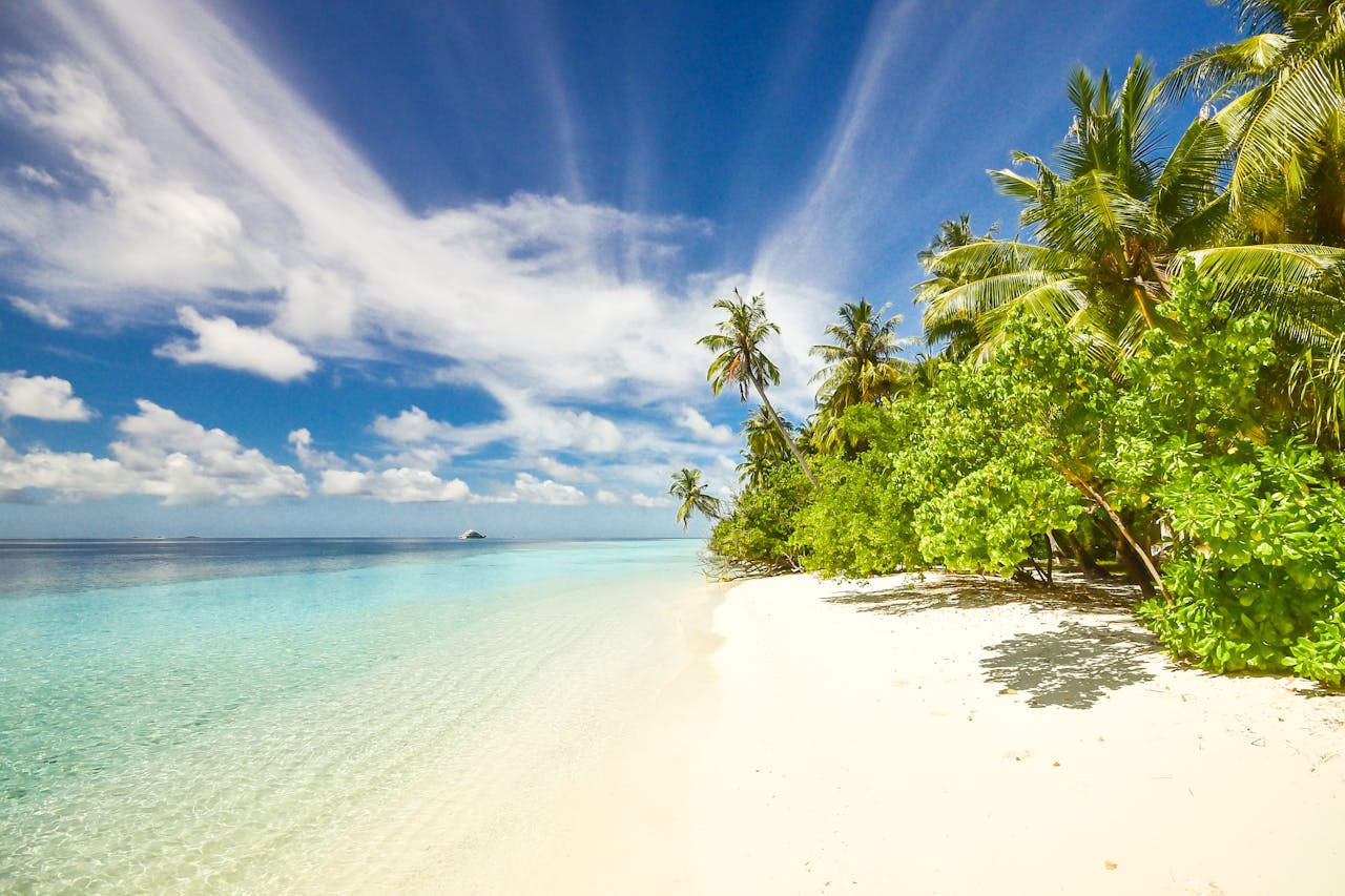 services-05 Pristine beach with turquoise waters and palm trees on Laamu Atoll, Maldives.