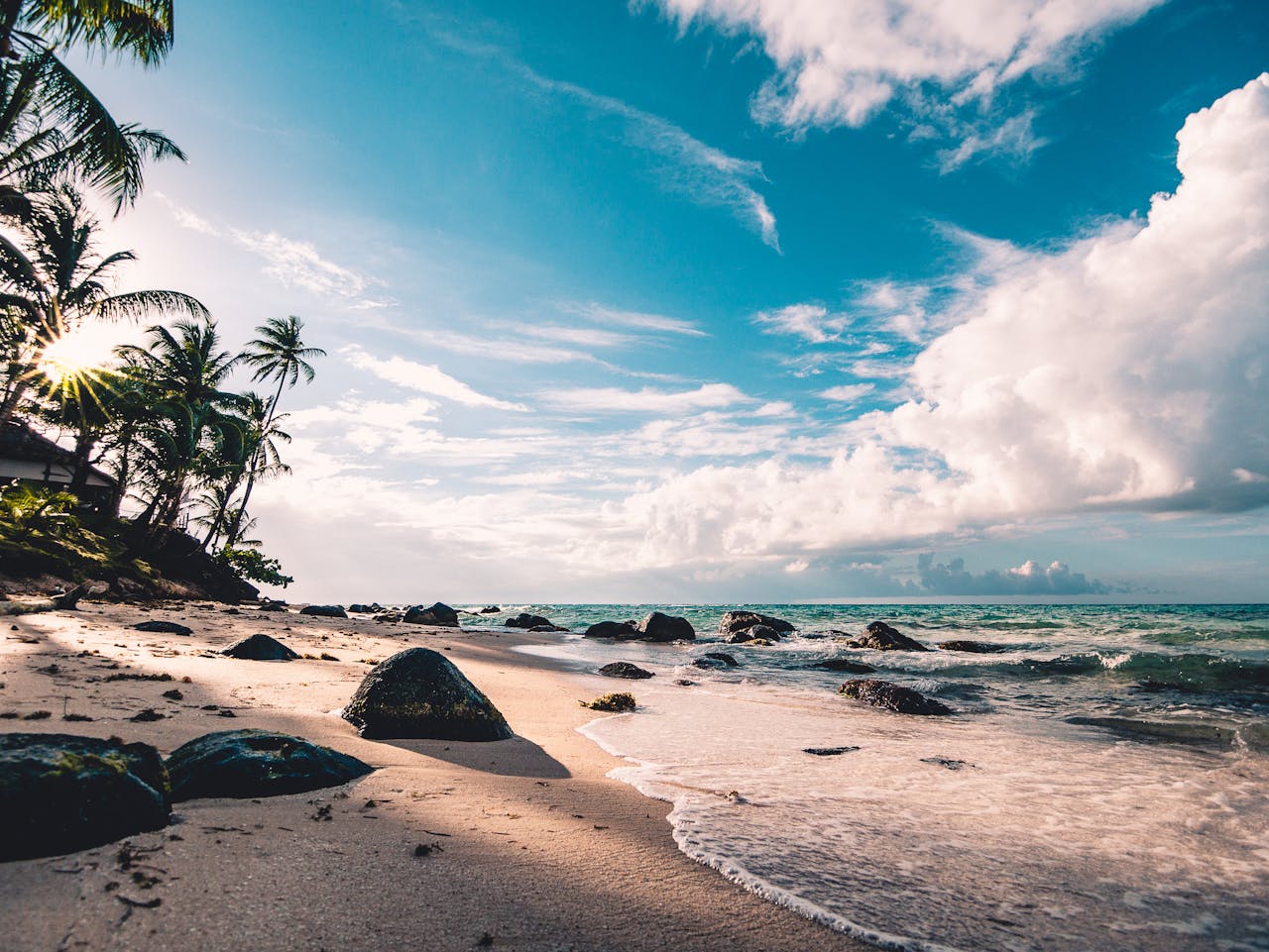 services-06 Experience the serene beauty of a tropical beach in RAAS, Nicaragua, with palm trees and ocean waves.