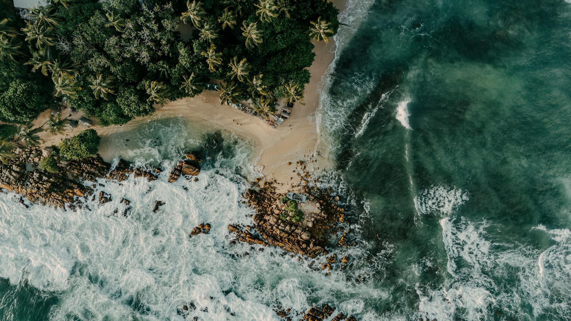 Stunning aerial view of a secluded tropical beach with lush palm trees in Sri Lanka.