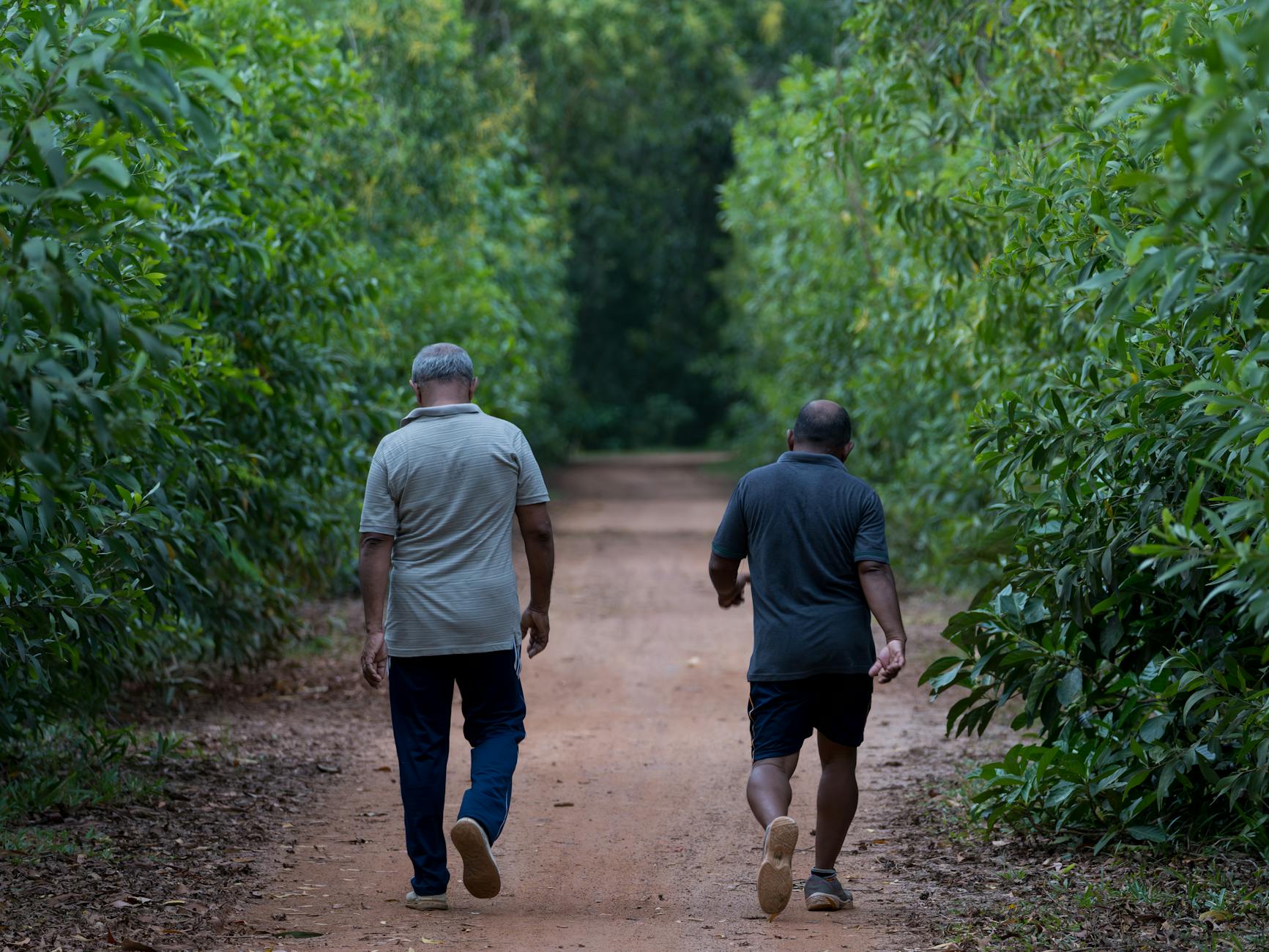Two men strolling on a lush green pathway in Matara, Sri Lanka, during summer.