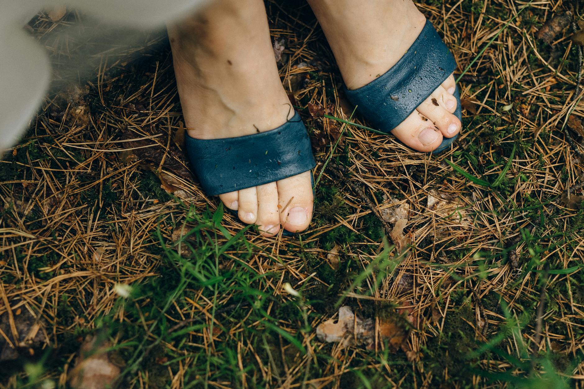 Detailed view of feet in blue sandals standing on wet grass and pine needles.