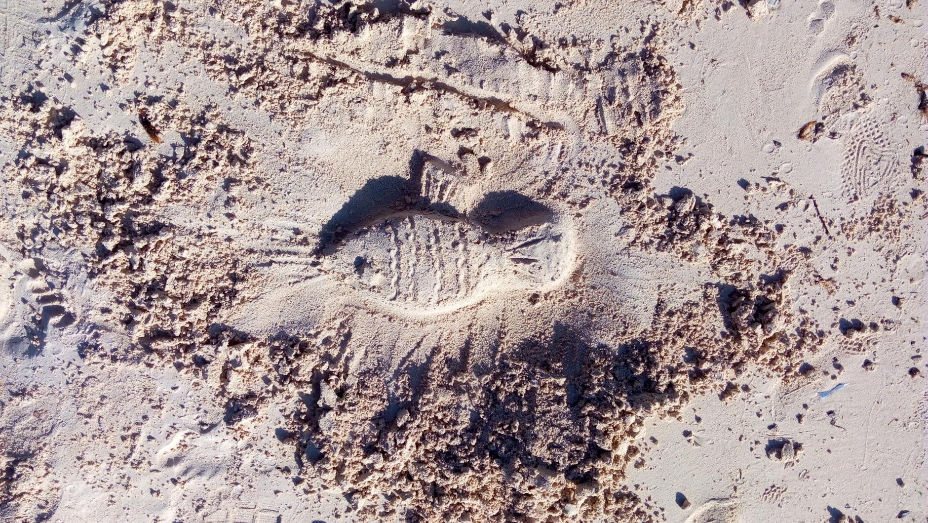 Close-up of a footprint pressed into sandy beach with sunlight casting shadows.